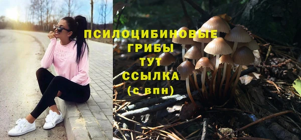 COCAINE Богданович