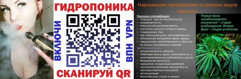 где найти наркотики  Улан-Удэ  Конопля AK-47 
